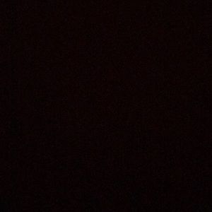 Meet your Posher, Phanny